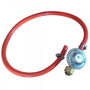 regolatore gas italia